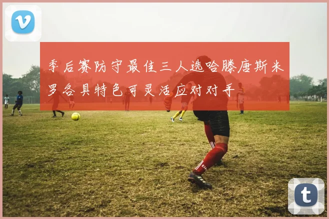 季后赛防守最佳三人选哈滕唐斯米罗各具特色可灵活应对对手