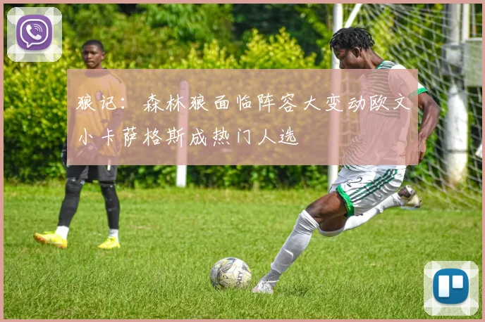 狼记：森林狼面临阵容大变动欧文小卡萨格斯成热门人选