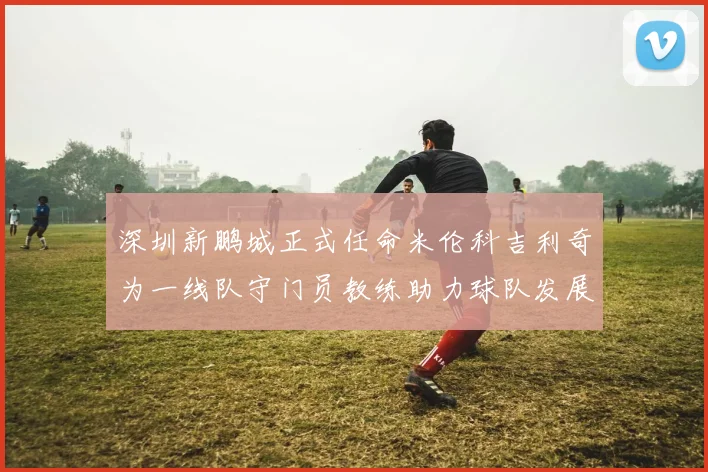 深圳新鹏城正式任命米伦科吉利奇为一线队守门员教练助力球队发展